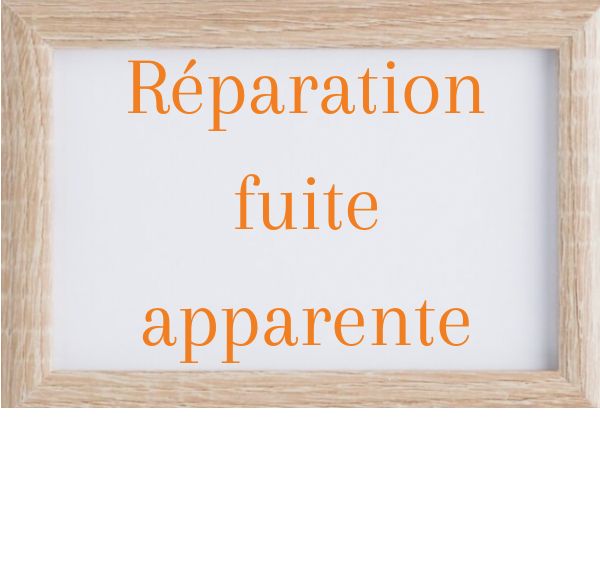 réparation fuite apparente
