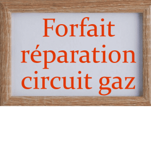 forfait réparation circuit gez