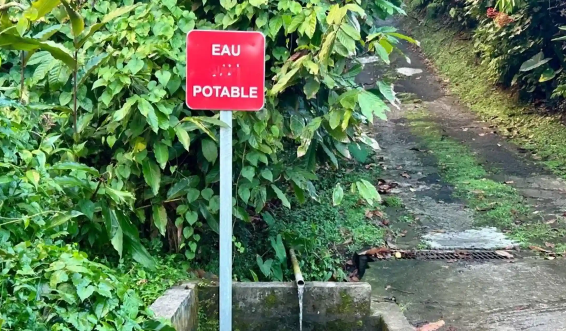 Source de Grosse-Gouttière à Saint-Joseph – eau impropre