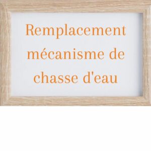 Remplacement mécanisme de chasse d'eau